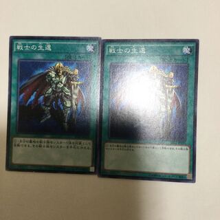 戦士の生還　２枚