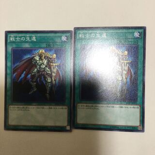 戦士の生還　２枚