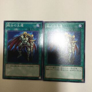 戦士の生還　２枚