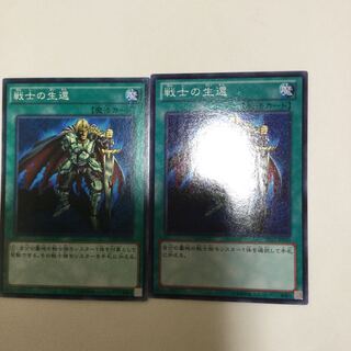 戦士の生還　２枚