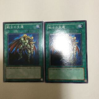 戦士の生還　２枚