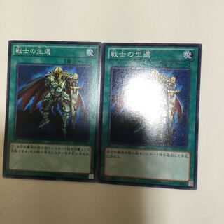 戦士の生還　２枚