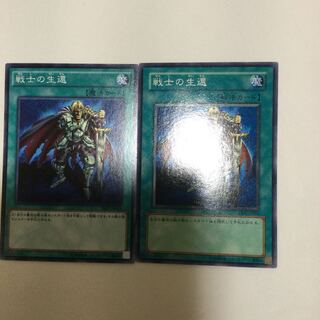 戦士の生還　２枚