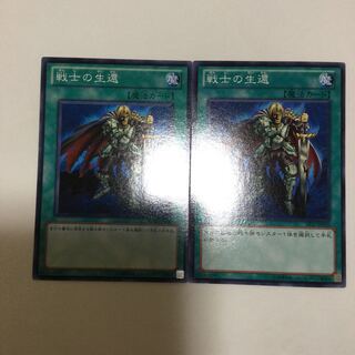 戦士の生還　２枚