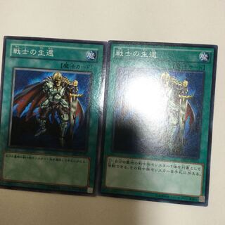 戦士の生還　２枚