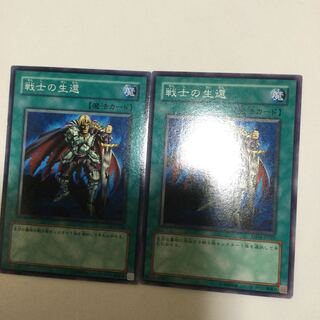 戦士の生還　２枚