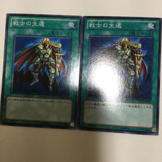 戦士の生還　２枚