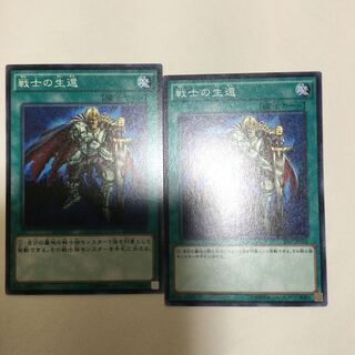 戦士の生還　２枚