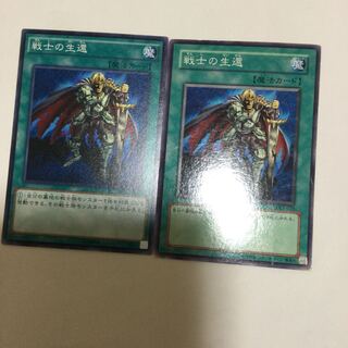 戦士の生還　２枚