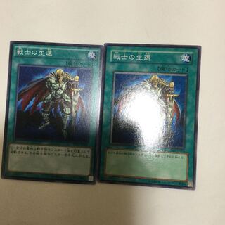 戦士の生還　２枚