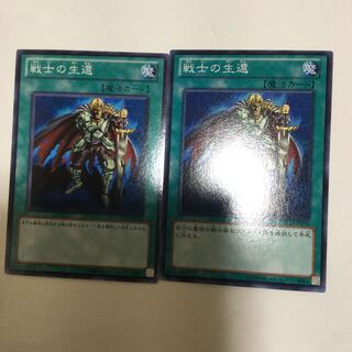 戦士の生還　２枚