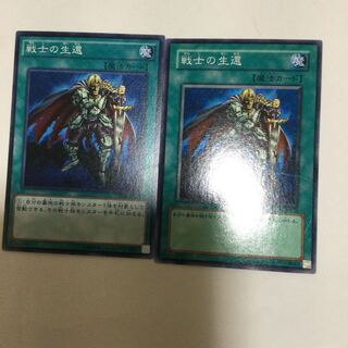 戦士の生還　２枚