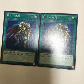 戦士の生還　２枚