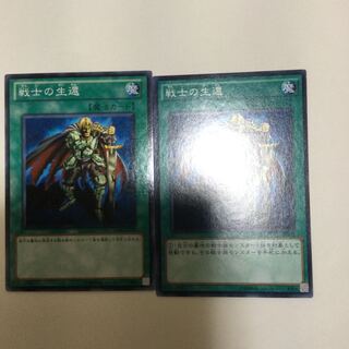 戦士の生還　２枚