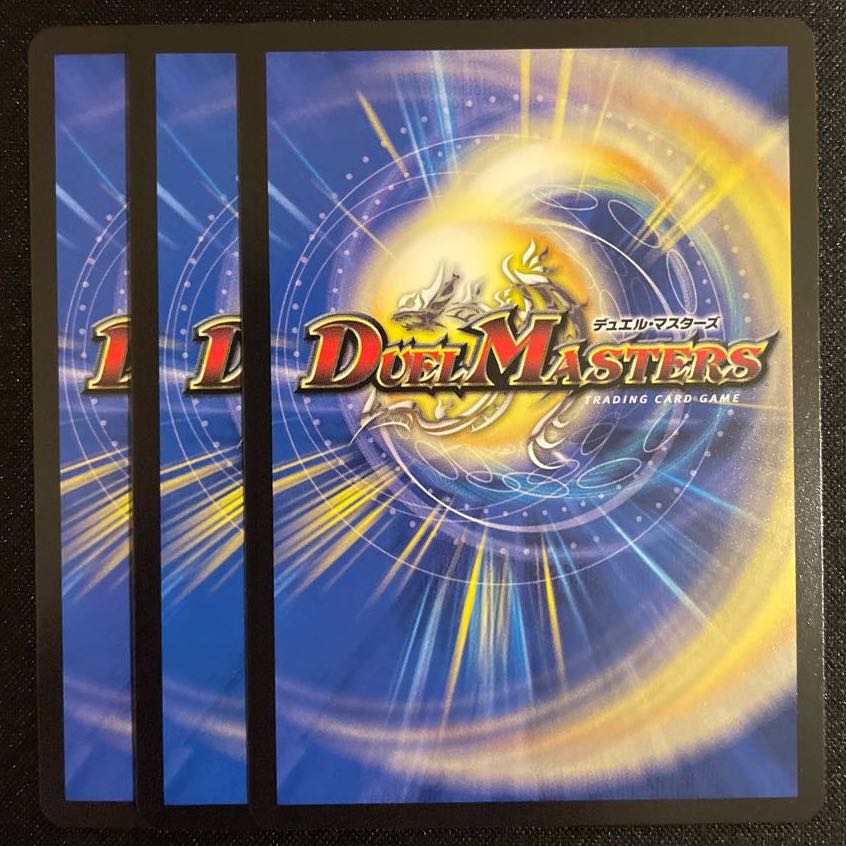 龍風混成 ザーディクリカ 3枚セット