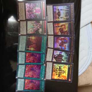 Numeron Network Sets