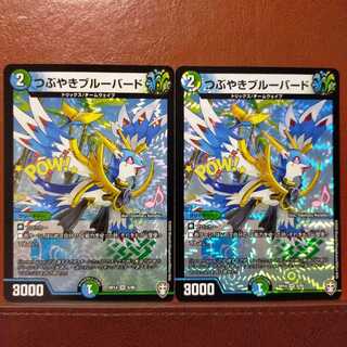 Din175セット割引　つぶやきブルーバード