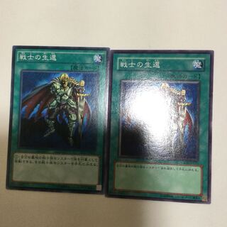 戦士の生還　２枚