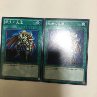 戦士の生還　２枚