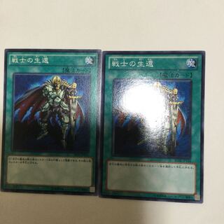 戦士の生還　２枚