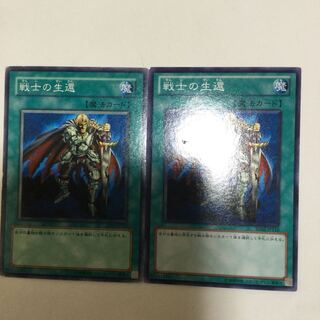 戦士の生還　２枚