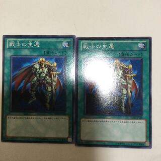 戦士の生還　２枚