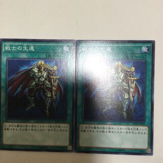 戦士の生還　２枚