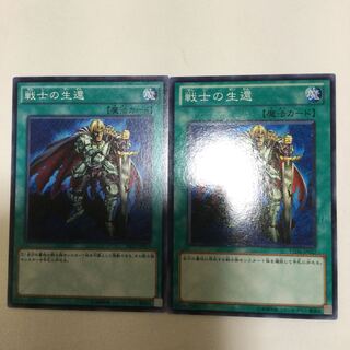 戦士の生還　２枚