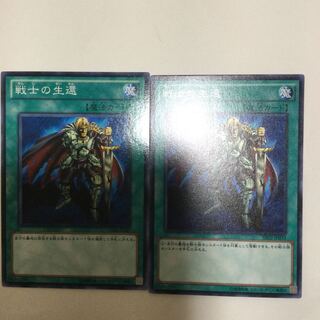 戦士の生還　２枚