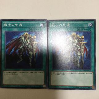 戦士の生還　２枚