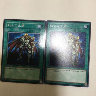 戦士の生還　２枚