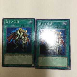 戦士の生還　２枚