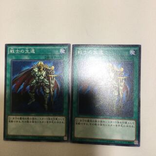 戦士の生還　２枚