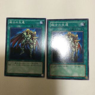 戦士の生還　２枚