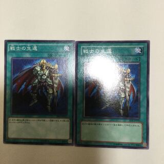 戦士の生還　２枚