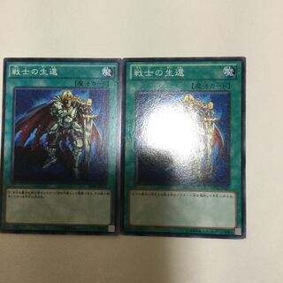 戦士の生還　２枚