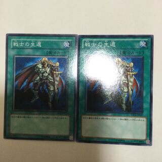 戦士の生還　２枚