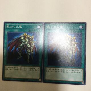 戦士の生還　２枚