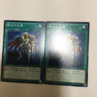 戦士の生還　２枚