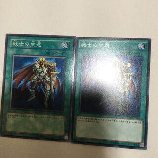 戦士の生還　２枚