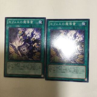 セフェルの魔導書　２枚