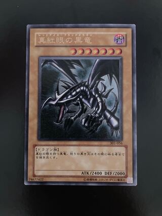 遊戯王好き様専用真紅眼の黒竜　レリーフ