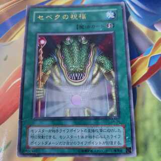 セベクの祝福 ウルトラレア