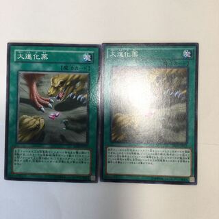 大進化薬　２枚