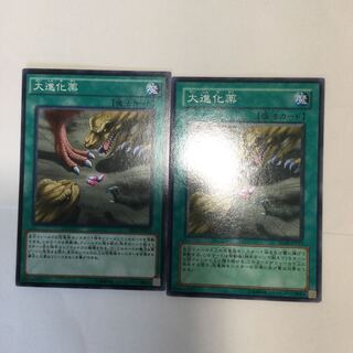 大進化薬　２枚