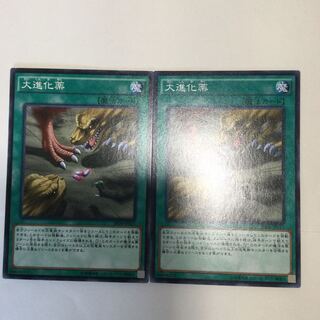 大進化薬　２枚