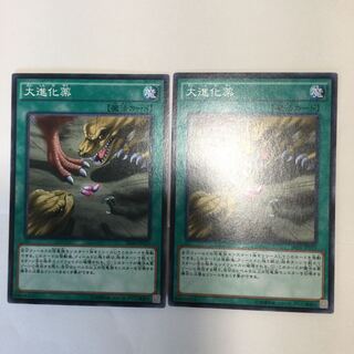 大進化薬　２枚