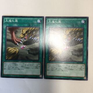 大進化薬　２枚