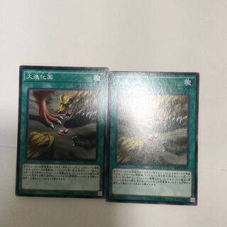 大進化薬　２枚