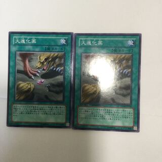 大進化薬　２枚